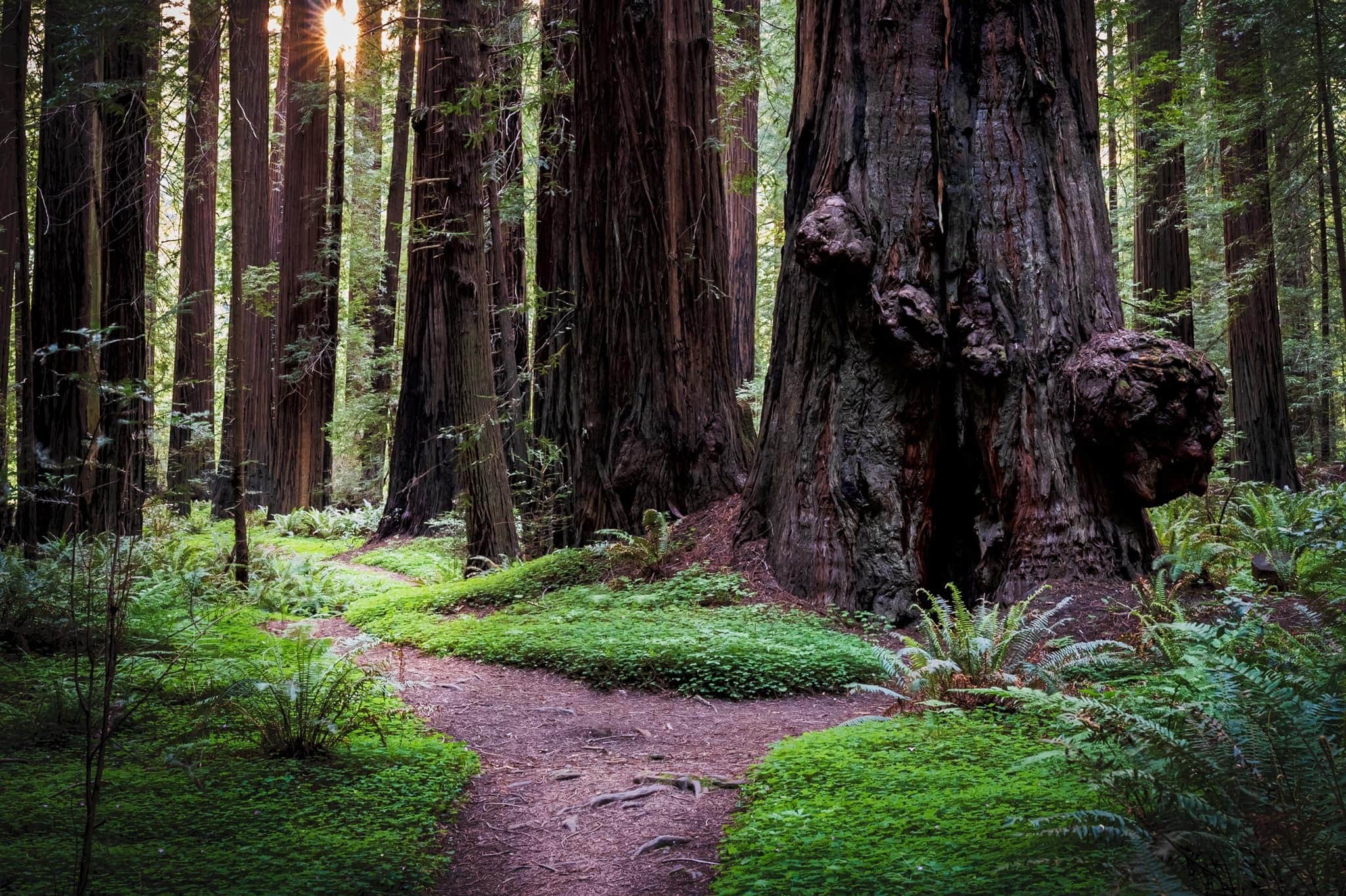 Southern Humboldt Community Clinic gallery